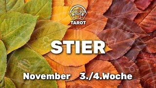 Stier KW 46/47 (11.November-24.November 24) - Liebe mit Fragezeichen -Tarot Horoskop Orakel