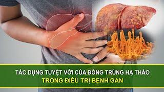 Tác dụng tuyệt vời của đông trùng hạ thảo trong điều trị bệnh gan | Sức khoẻ vàng VTC16