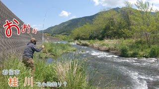おぉぉ！めちゃ面白かったー！山梨の本流で渓魚釣り！！   都留市 桂川で小物釣り？