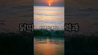 닭띠에게 행운을 가져다 주는 색과 소품