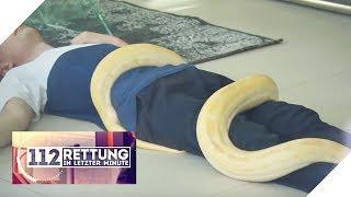 XXL Würgeschlange: Warum ist der Junge bewusstlos? | 112 - Rettung in letzter Minute | SAT.1 TV