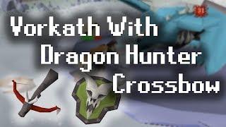 Vorkath With Max Gear (DHCB & Rigour)