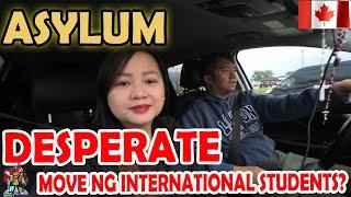 DESPERADO NA BA? | ALARMING TREND FOR INTERNATIONAL STUDENTS SEEKING ASYLUM | BUHAY CANADA