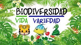  ¿Qué es la BIODIVERSIDAD?  [Fácil y Rápido] | BIOLOGÍA |