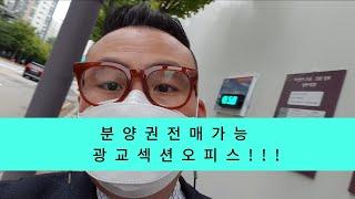 위치로 보는 전매가능한 리치안 레이크타워 광교 섹션오피스 투자가치