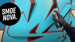 How my Graffiti Garden Wall got even better? + how i built it + painting a huge canvas
