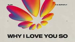 Alok, James Hurr & Supafly - Why I Love You So (Official Visualizer)