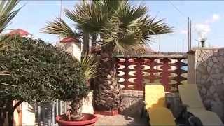 Villa Sofia, vacation rentals in Puglia - Torre Lapillo beach