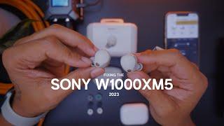 SONY WF-1000XM5 - Fix (fit+ comfort)