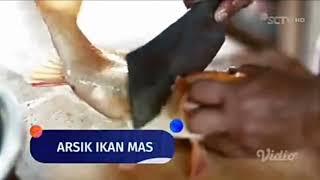 Station ID SCTV - Arsik Ikan Mas (2024)