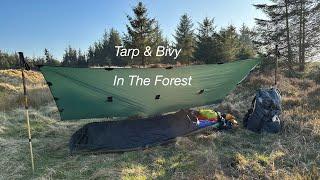 Tarp & Bivy in the Forest