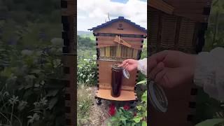 He Built a New Home For the Bees ️