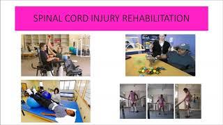 THE BEST TREATMENT FOR SPINAL CORD INJURY IN IPOH