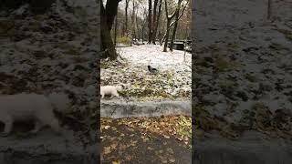 Ты куда? Не уходи..