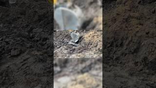 Ч.4 Что мы нашли?! Строим дом