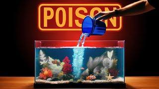 You're fish store water is killing your Saltwater Aquarium