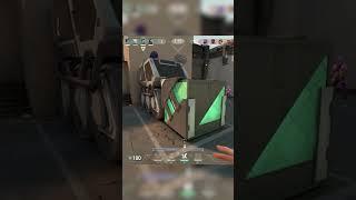 Immortal Streamer VS ADHD Diamond Neon