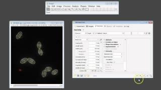 How To Extract Pixel Intensity Values and plot a Histogram