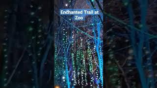 Enchanted Trail at the Detroit Zoo