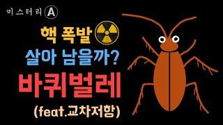 바퀴벌레는 정말 핵폭발에서 살아남을까? / 살충제에 잘 안죽는 이유