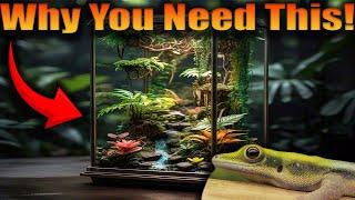 Why Every Reptile Keeper NEEDS A Bioactive Viv