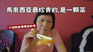 60歲中國大媽初登馬來西亞：中國消失的東西在這裏找到了