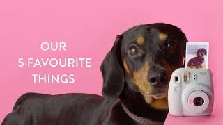Our 5 Favourite Things To Shoot With Instax