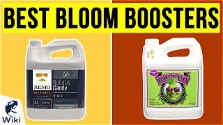 10 Best Bloom Boosters 2020