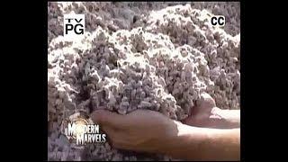 Modern Marvels S13E03 Cotton