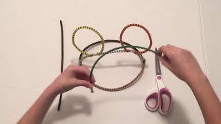 Animal Kingdom Pipe Cleaner Mickey Ears