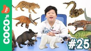 #25 육식동물과 초식공룡이 싸우면 과연 누가 이길까?! Carnivorous Animal vs Herbivorous Dinosaurs , Collecta figures