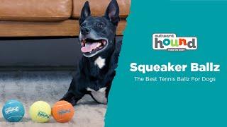 Outward Hound Squeaker Ballz - The Best Tennis Balls For Dogs