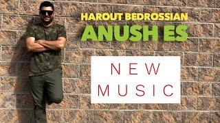 Harout Bedrossian - Anush Es // New Hit  Music 2019