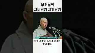 부처님의 자비와 지혜 광명은 우주에 충만해 있습니다 #청화스님