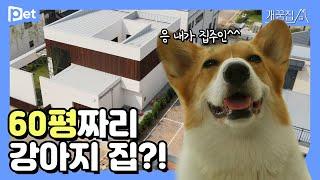 60평대 로또 청약 된 강아지┃개꿈집 EP.1┃어바웃펫 About Pet