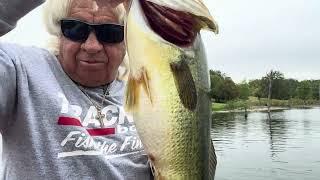 10 Cast Challenge. (Redman Spinnerbait)