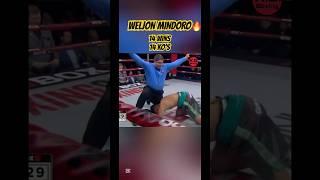 Weljon Mindoro vs. Omar Munguia
