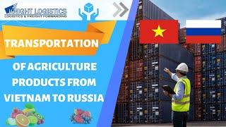 Reliable Transportation Services from Vietnam to Russia | Knight Logistics