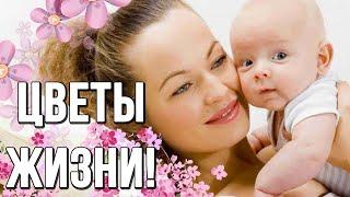 ДЕТИ - ЦВЕТЫ ЖИЗНИ!!!!