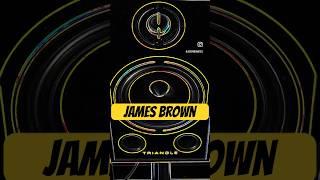 The Payback : The Godfather Jame Brown  #jamesbrown #soul #funk #joepinionated