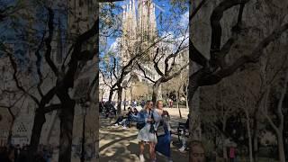 Serene Views : Sagrada Família from the Park