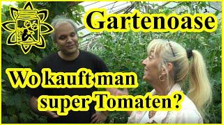 Wo kauft man super Tomaten ? | Gartenoase Köln West | Selfbio zeigt Tomatenhaus | shoppen für Vorrat