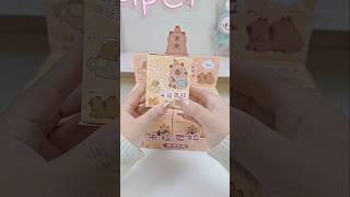 Unboxing time‼️ Capybara blindbox #capybara #cute #asmr #shorts #fyp #sanrio #kuromi #hellokitty