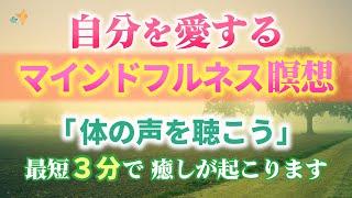 【保存版・プロの誘導】インナーチャイルドの癒し。（前と違うやりかた）不調・不眠なら「体の声を聴こう」マインドフルネス瞑想  | 自律神経失調 | 禅 | 呼吸法 | 心理療法 | レイキ |