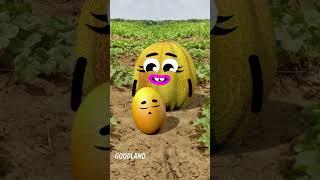 Goodland | Mango from melon  #doodles #animation #cartoon #GOODLAND