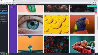 How to create and customize galleries with the Essential Grid in WordPress.