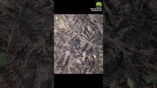 Как найти мочевые точки?