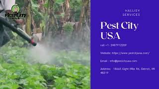 Pest Control Services in Detroit | Pest Control Southfield MI - Pest City USA