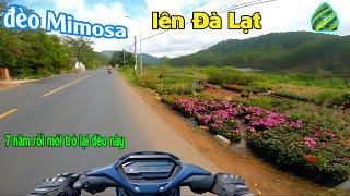 Lên Đà Lạt qua đèo Mimosa | con đèo thay thế đèo Prenn khi gặp sự cố