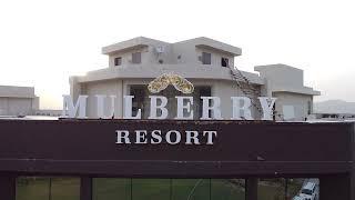 Mulberry Resort Pushkar